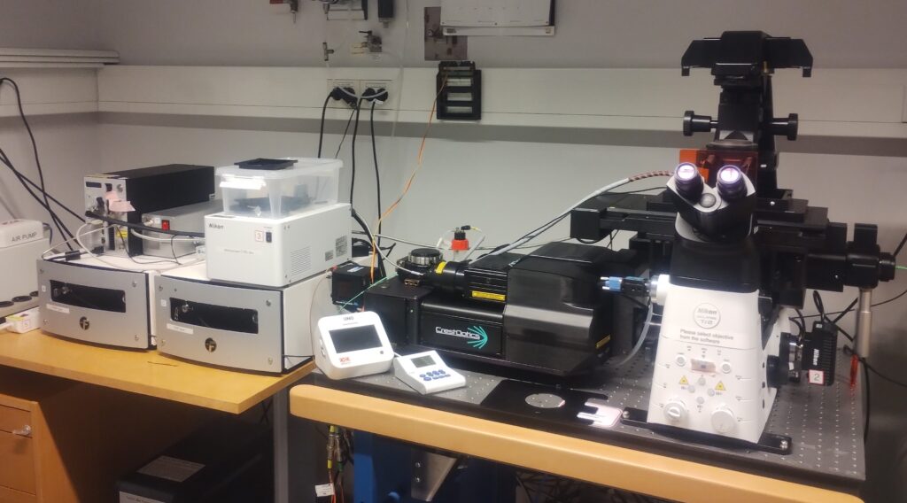 Nikon Eclipse Ti2microscope.