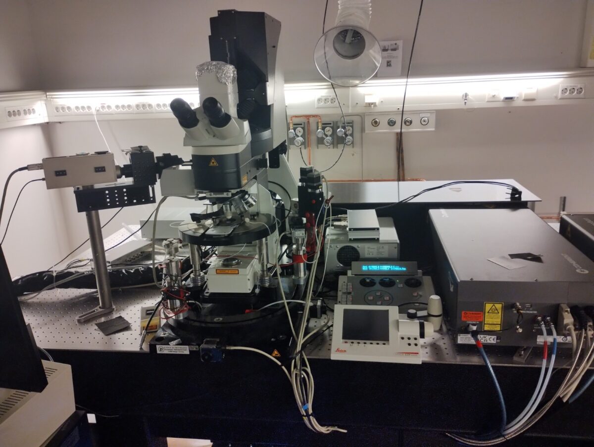 Live tissue imaging of protein-protein interactions by two-photon (2P) FLIM-FRET