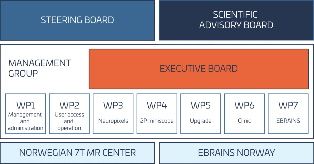 NORBRAIN governance model